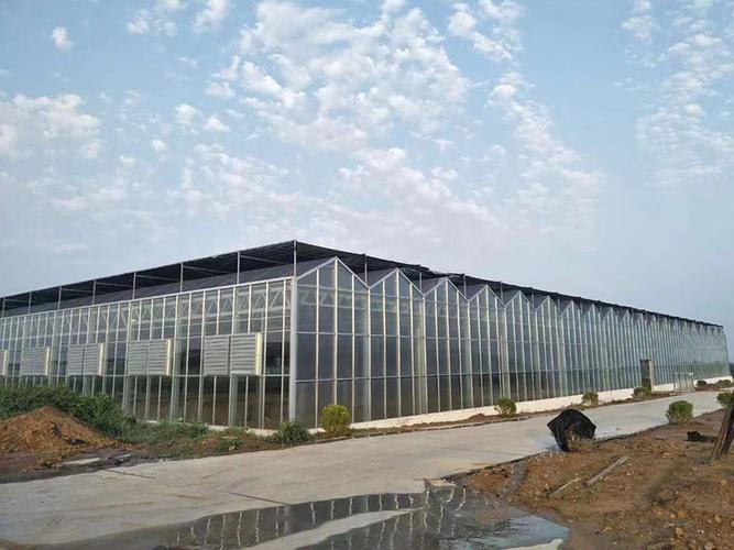 植物工廠的技術有哪些優(yōu)勢？